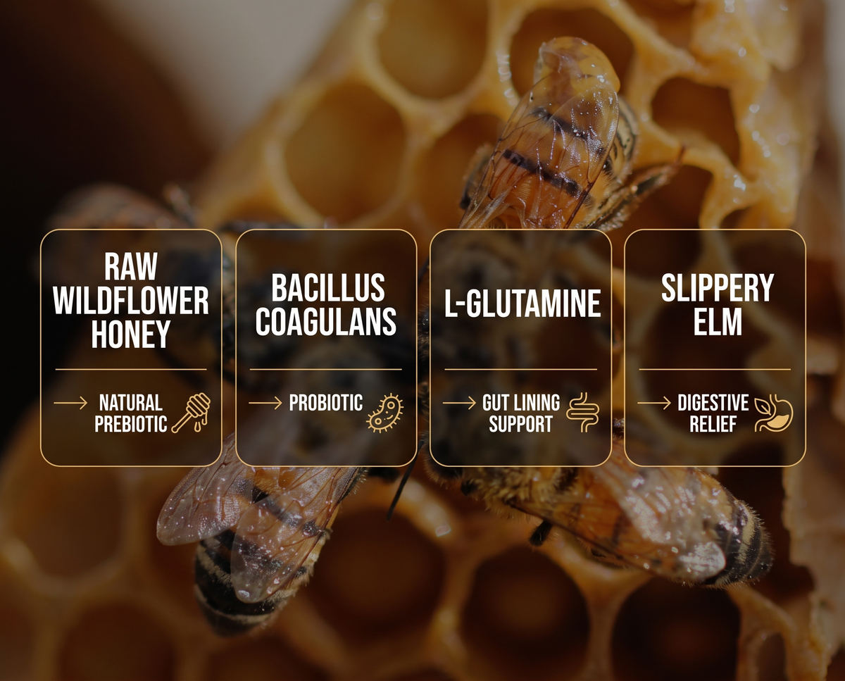 Manna Gut Defense ingredient story